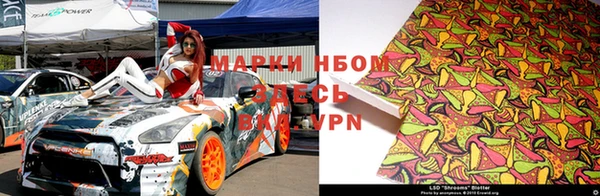 ПСИЛОЦИБИНОВЫЕ ГРИБЫ Армянск