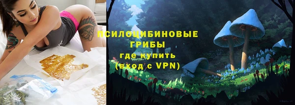 ПСИЛОЦИБИНОВЫЕ ГРИБЫ Армянск