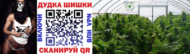 где продают наркотики  Шарыпово  Марихуана VHQ 